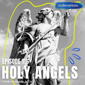 116 Holy Angels - social hero